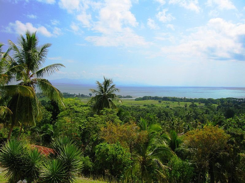 3-View_of_Haitian_Landscape_hispaniola