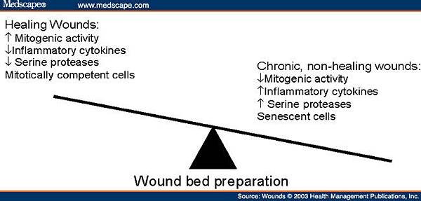 w459733.enoc.fig2