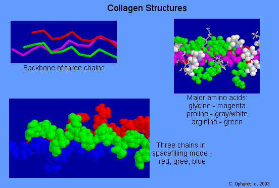 567collagen