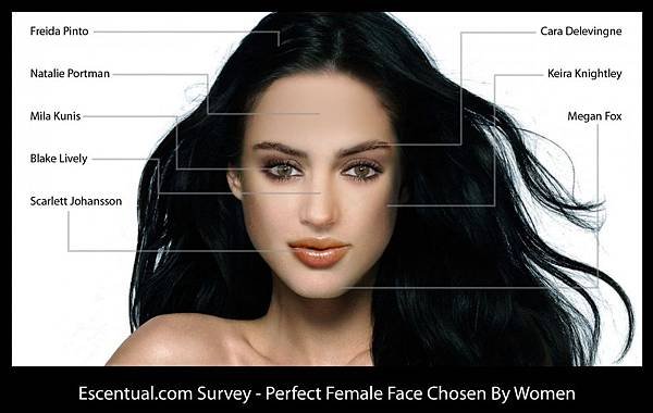 escentual.com perfect faces annotated with border