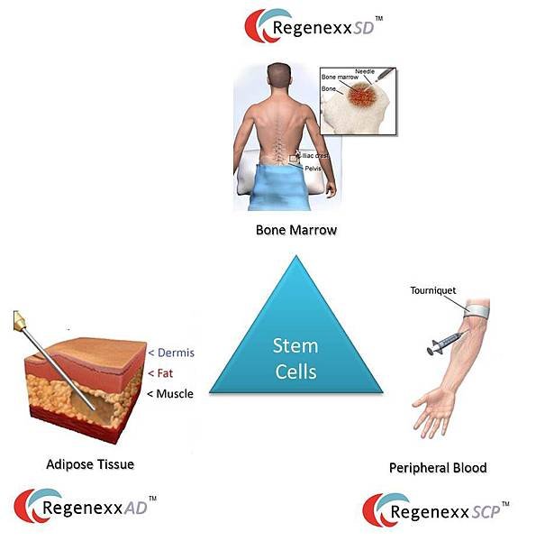 Stem-Cell-Sources1