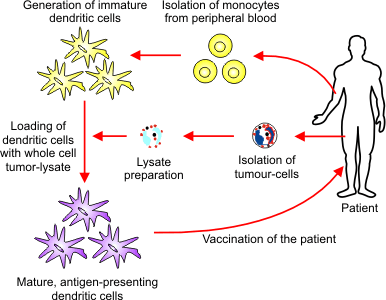 fig6