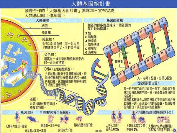 _8._Human_Genome_Project_