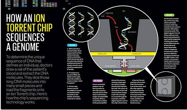 genome03b-1361461121644