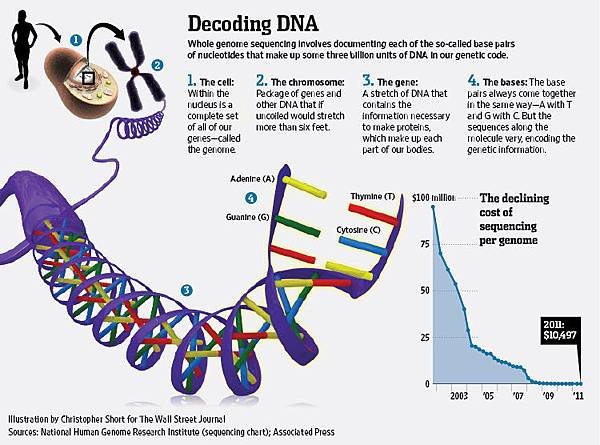 NA-BO908_GENOME_G_20120109210202