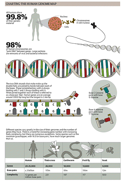 genome