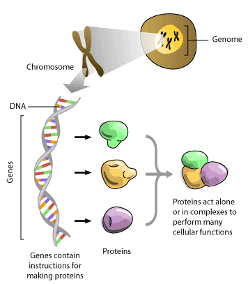 molecular-machine