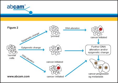 Epigenetics Fig 1