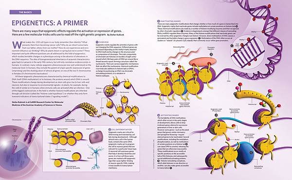 epigenetics_primer