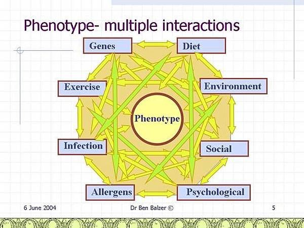 phenotype-interactions1