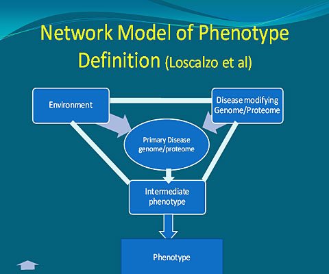 model_phenotype