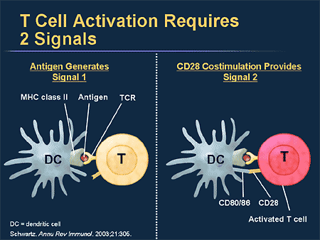 slide30