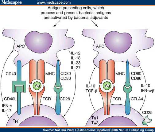 gastro540142.fig3