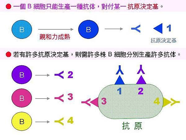 proteomics F3