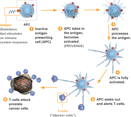 immunotherapy-3