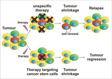 illustration eurostem cell 02 therapy.img_assist_custom-479x338