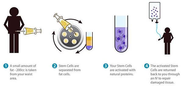 DB_Pro_StemCell_HowDoStemCellsWork