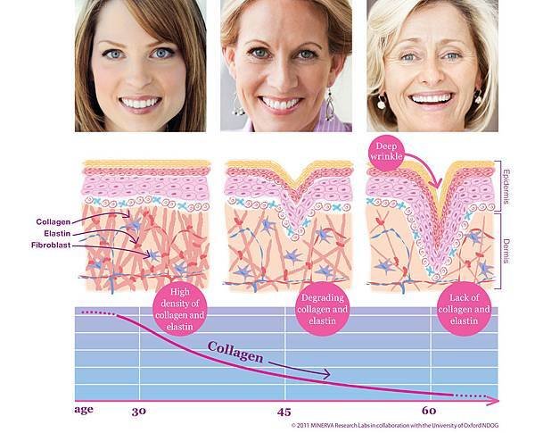 3gens-faces-diagrams-fig-v2-HR