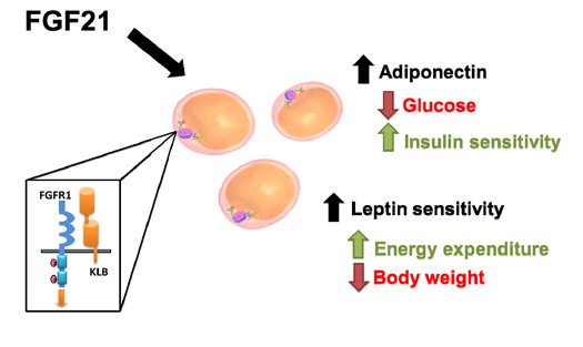 Figure1