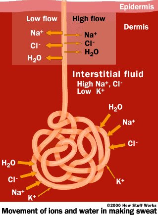 ions