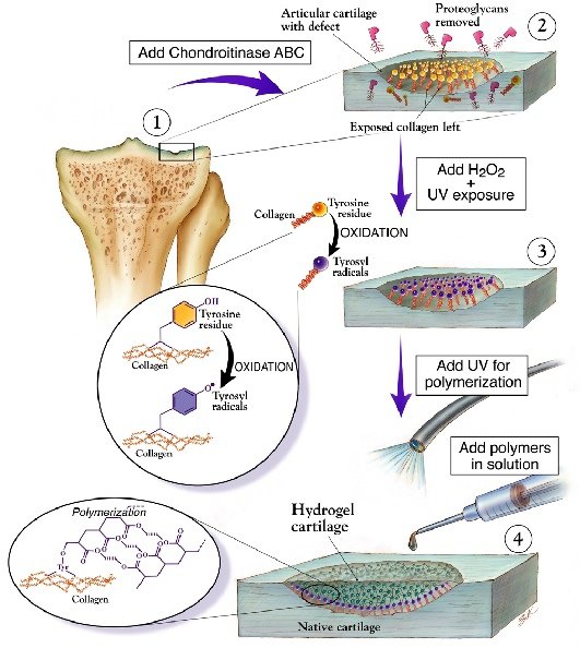 schematic1