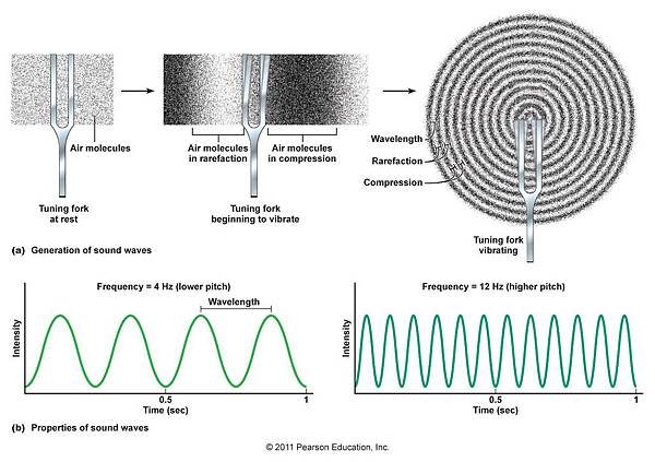 figure_10_42_labeled