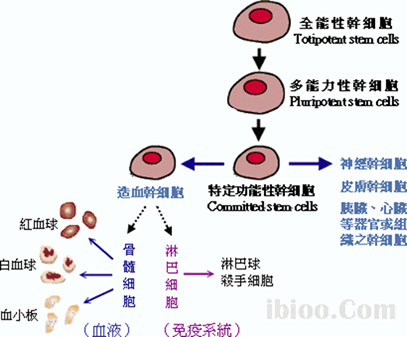 regenerative-1