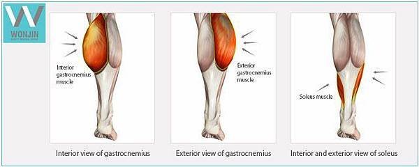 calf reduction surgery_02