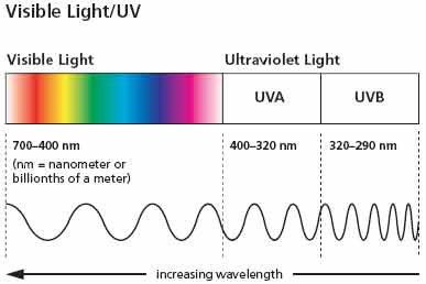 uva-and-uvb