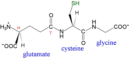 glutathione