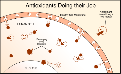 antioxidants-resized-600