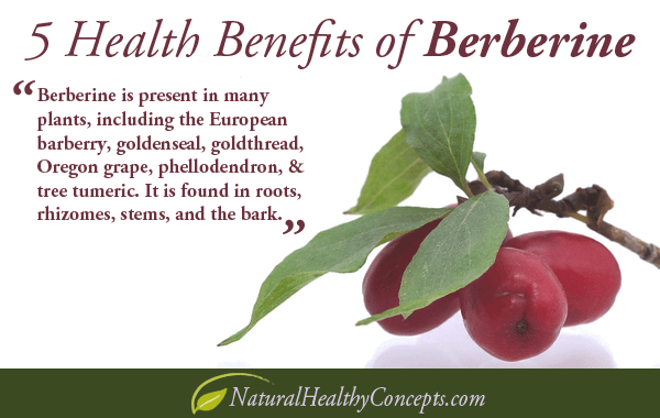 berberine-post