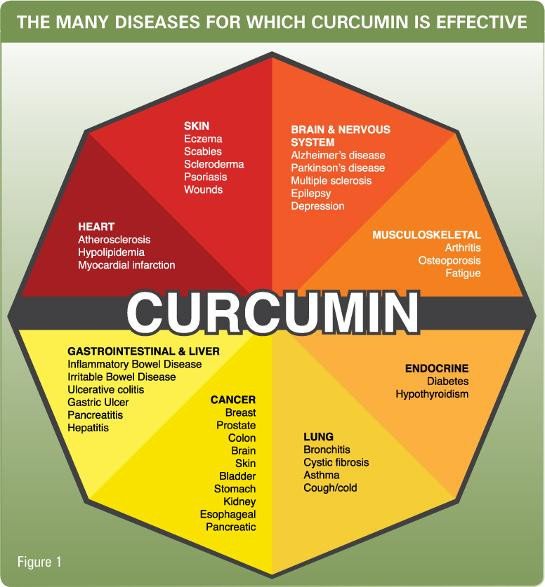 Curcumin-Health-Chart_grande