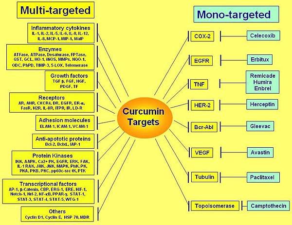 curcumintargets