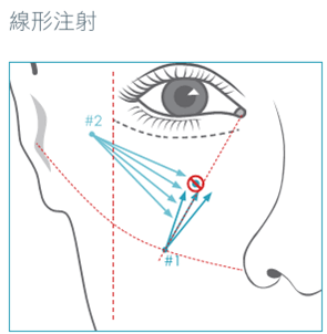 圖片8