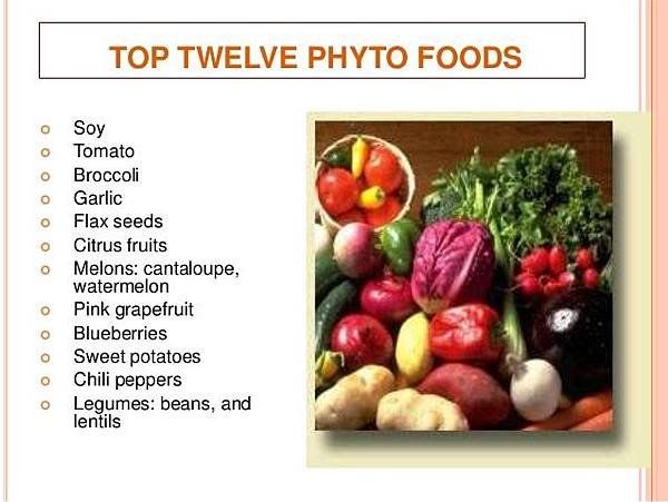 antibacterial-activity-of-isolated-phytochemicals-19-638