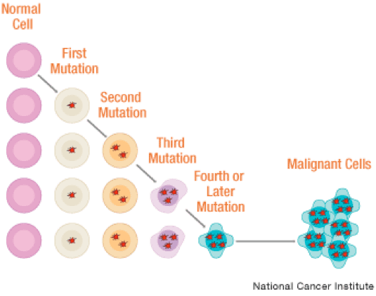 mutations