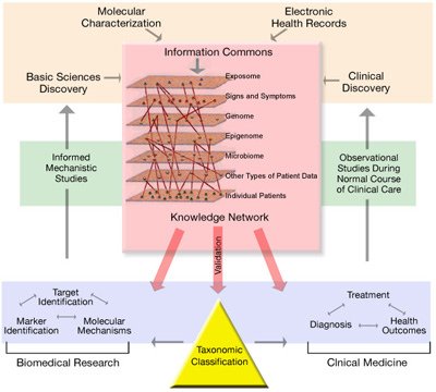 new_taxonomy_of_disease_f_400