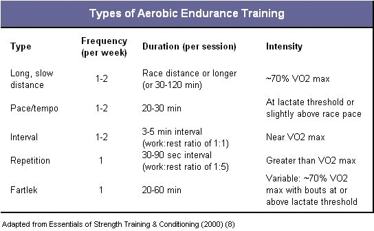 aerobic_endurance_training_graph