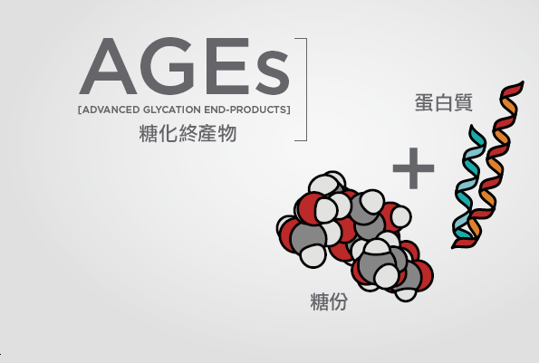 糖化終產物(AGEs─Advanced_Glycation_End_Products)