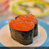 DSC_1732.JPG