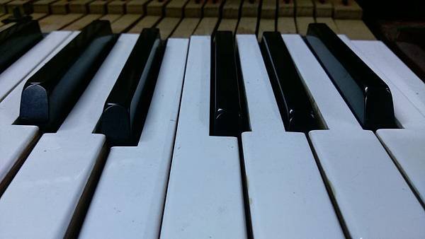 IMAG0424