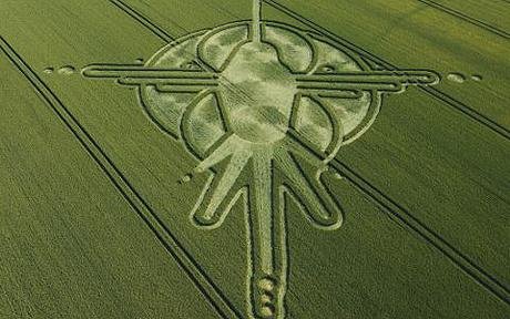 hummingbird-crop-circle