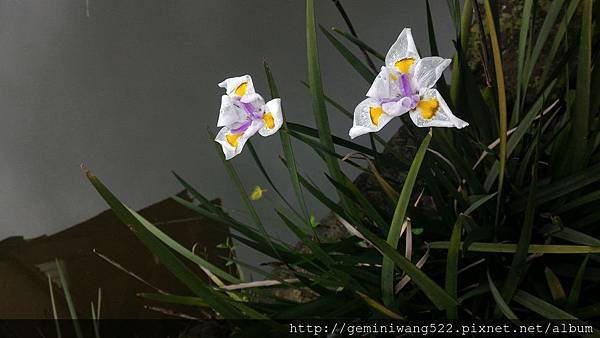 P_20160204_151039.jpg
