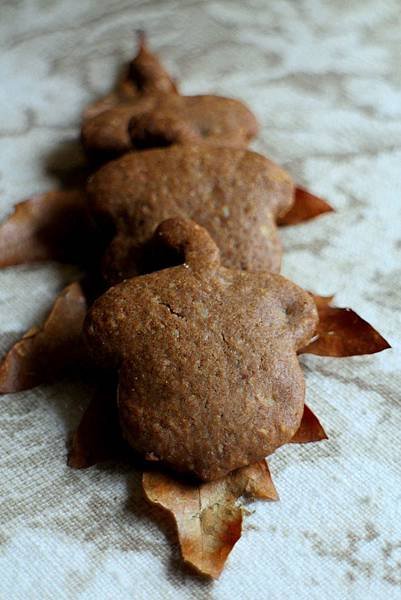 hazelnut cookies 476