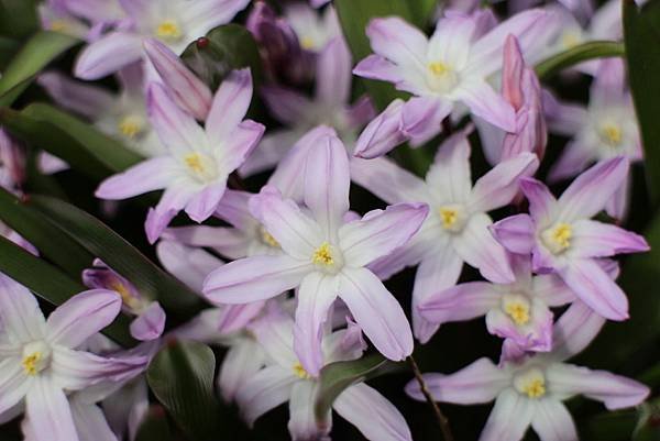 2014 spring 003