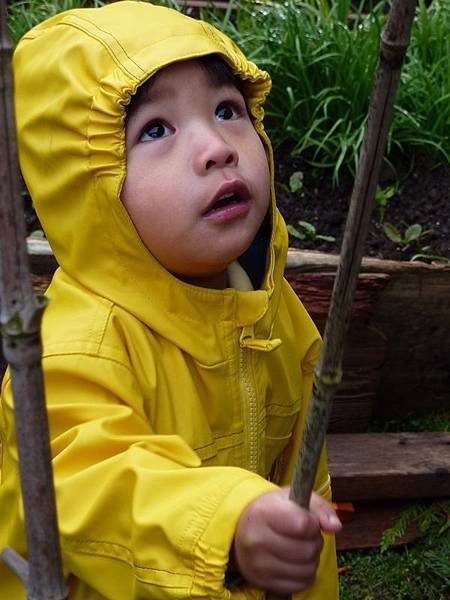 spring garden 2010 208.JPG
