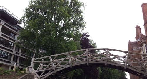 20130624_121243.jpg
