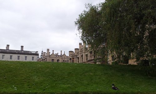 20130624_121703.jpg