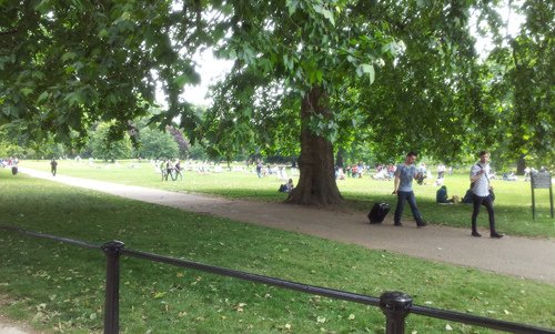 20130626_123559.jpg